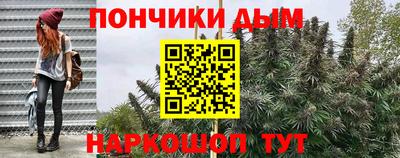 прущие грибы Гусиноозёрск