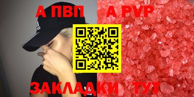 прущие грибы Гусиноозёрск