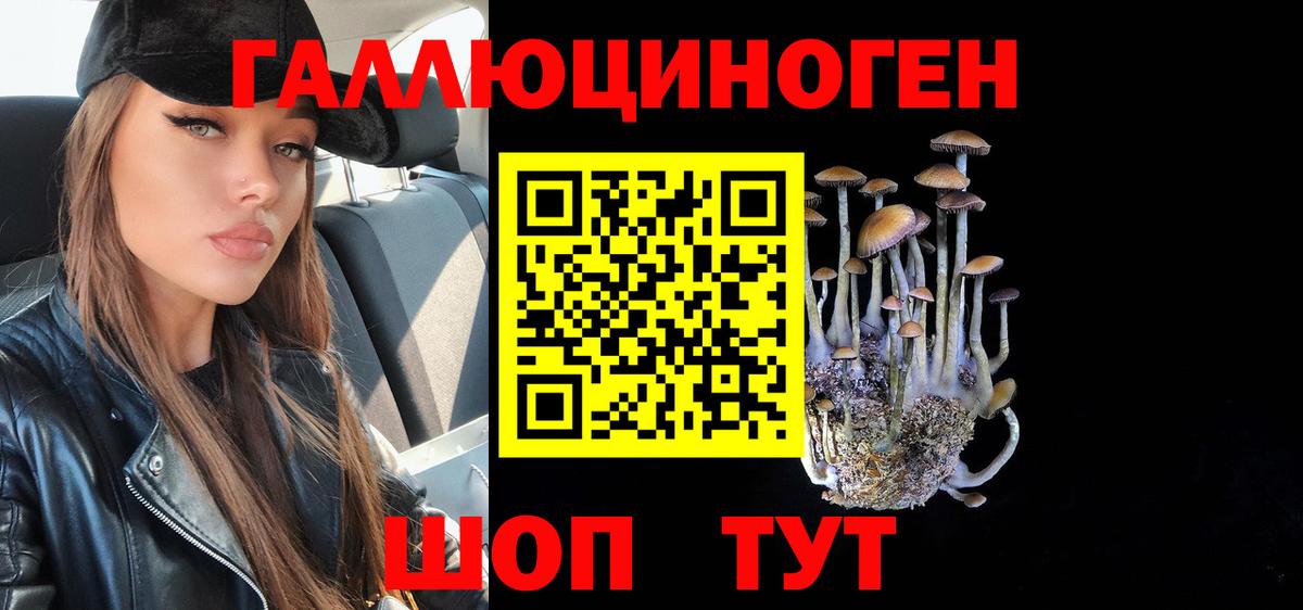 Лянтор  Псилоцибиновые грибы прущие грибы  Вход с VPN  Псилоцибиновые грибы Psilocybine cubensis 